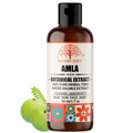 Hollywood Secrets Pure Amla Extract Face Wash